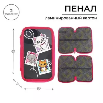 Пенал школьный, 2 секции, 12.520.54 см