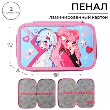 Пенал школьный, 2 секции, 12.520.54 см