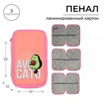 Пенал 3 секции, 125 х 205 х 55 мм, calligrata 30п26/3