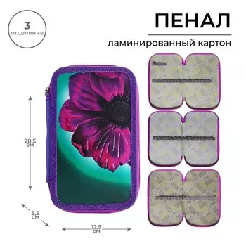 Пенал 3 секции, 125 х 205 х 55 мм, calligrata 81п26/3
