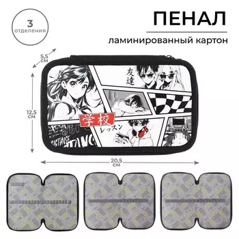 Пенал школьный, 3 секции, 12.520.55.5 см