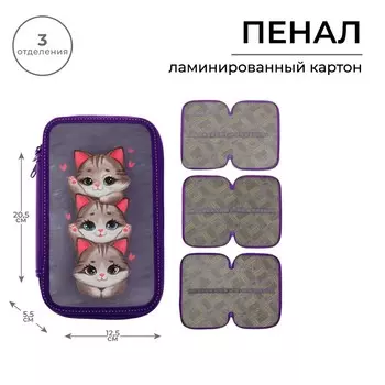 Пенал 3 секции, 125 х 205 мм, calligrata