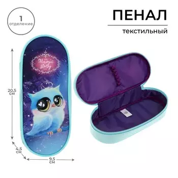 Пенал школьный, футляр, текстиль, 9.520.54.5 см