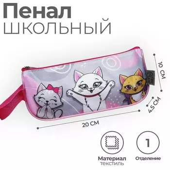 Пенал мягкий 1 отделение, 100 х 200 х 45 мм, объемный, с ручкой