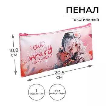 Пенал школьный, текстиль, плоский, 10.820.5 см