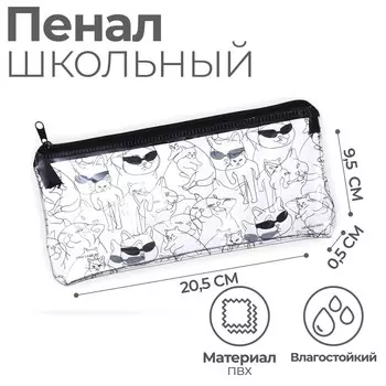 Пенал школьный, плоский, пвх, 9.520.5 см