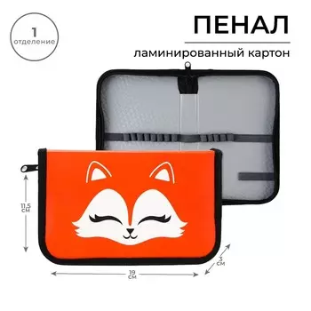 Пенал школьный 1 секция 190 х 115 лам.карт по-02