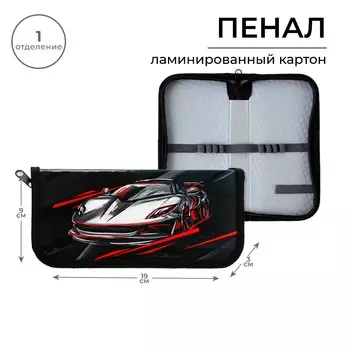 Пенал школьный 1 секция 90 х 190 лам.карт по-03