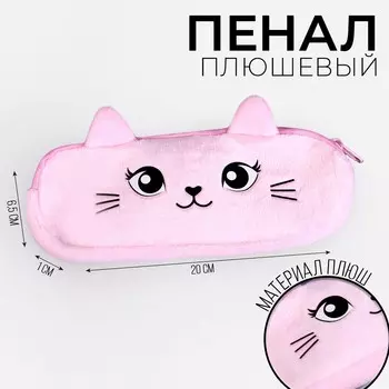 Пенал школьный