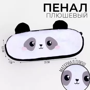 Пенал школьный