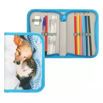 Пенал школьный