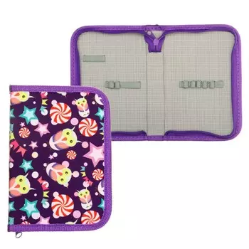 Пенал школьный