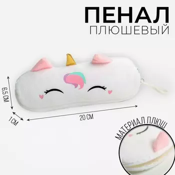 Пенал школьный