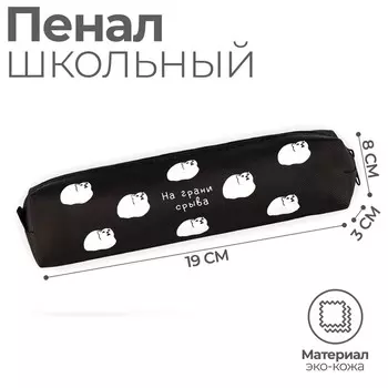 Пенал школьный из искусственной кожи