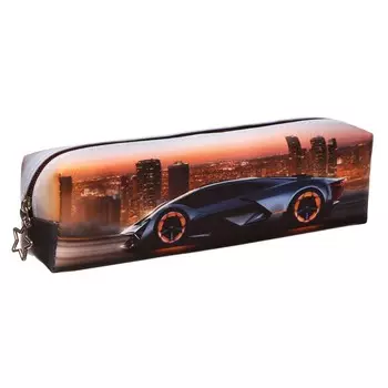 Пенал школьный на молнии calligrata