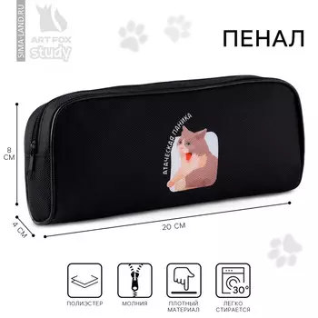 Пенал школьный, текстиль, 8204 см