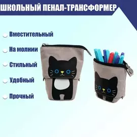 Пенал-трансформер школьный на молнии