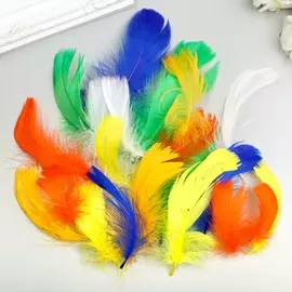Перья декоративные