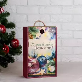 Переноска для 2 бутылок