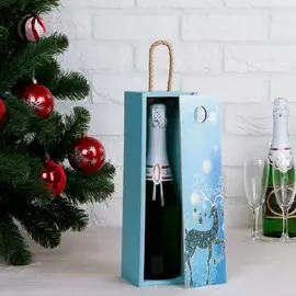 Переноска для бутылки