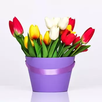 Переноска конус под цветы, фиолетовый 11,5 х 17 х 12 см