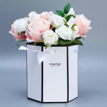 Переноска складная шестигранник