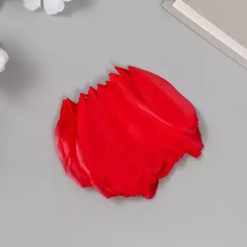 Перо декоративное гусиное