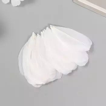 Перо декоративное гусиное