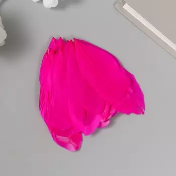 Перо декоративное гусиное