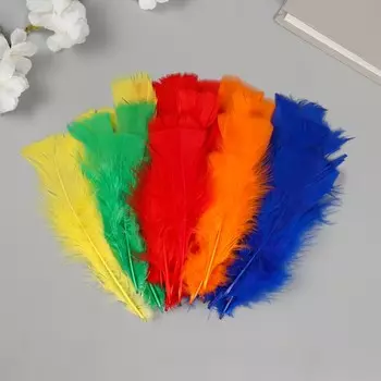 Перо декоративное гусиное