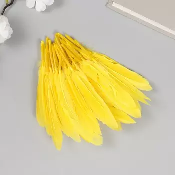 Перо декоративное гусиное