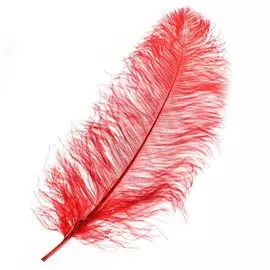 Перо для декора, длина: от 45 до 60 см, цвет бордовый