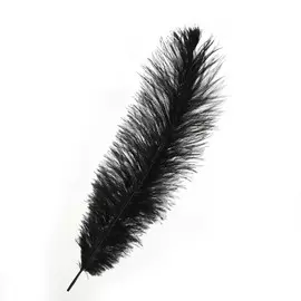 Перо для декора, размер: 30-35 см, цвет черный