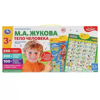 Плакат двусторонний на бат