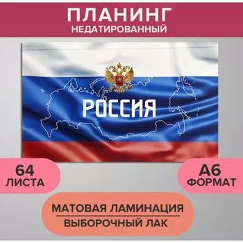 Планинг недатированный a6, 64 листа, на сшивке, обложка из картона, матовая ламинация, выборочный лак, триколор