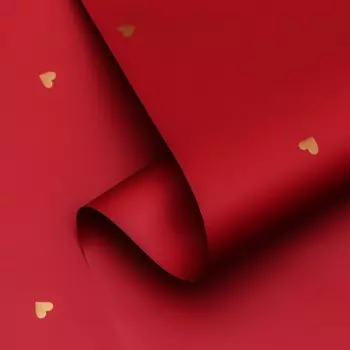 Пленка для цветов, 57см х10 м,