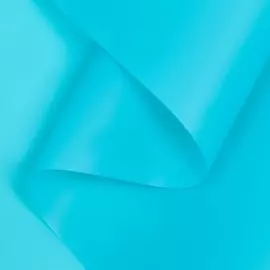 Пленка для цветов, матовая, 58 см 10 м