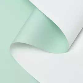 Пленка матовая 0.5810 м