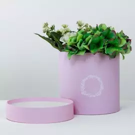 Коробка подарочная, упаковка,