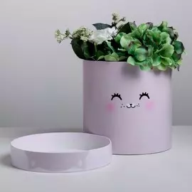 Подарочная коробка