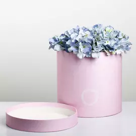Подарочная коробка круглая