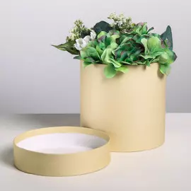 Подарочная коробка круглая