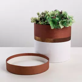 Подарочная коробка круглая