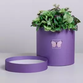 Подарочная коробка круглая