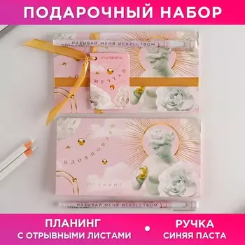 Подарочный набор, планер и ручка пластик