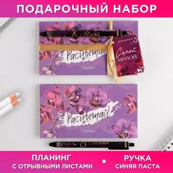 Подарочный набор, планер, ручка пластик