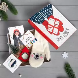 Набор подарочный новогодний