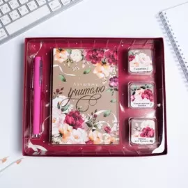 Подарочный набор: блокнот ручка скрепки зажимы