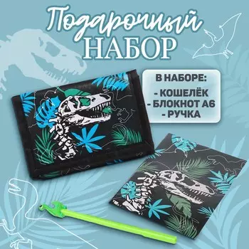 Подарочный набор для мальчика