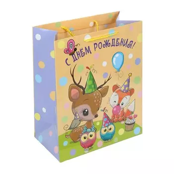 Подарочный пакет ЧУДО ПРАЗДНИК P2SL-114906-O